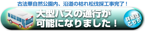 大型バスの通行について