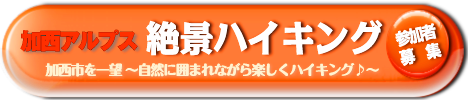 ハイキング参加募集